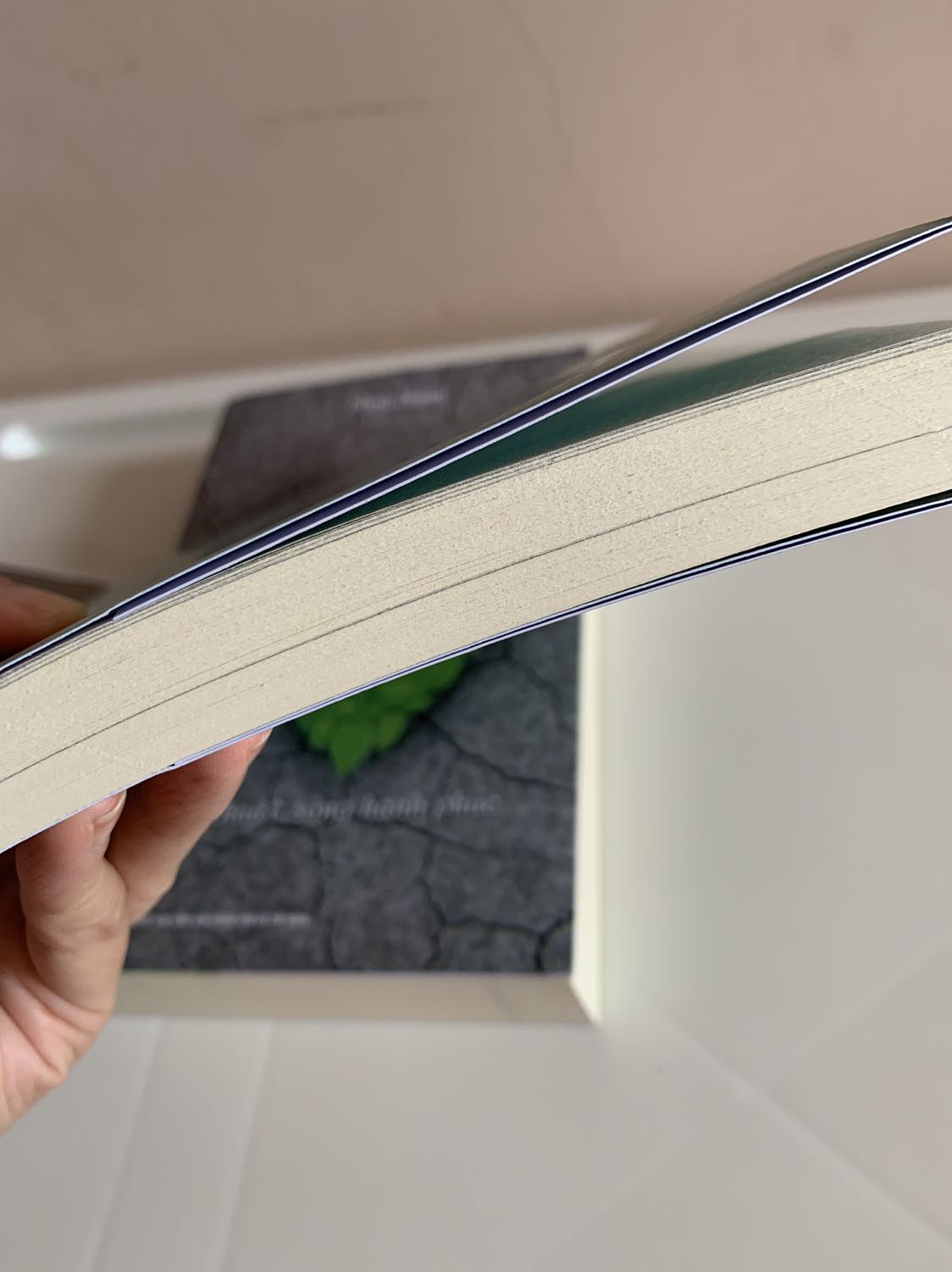 Chất giấy quá tệ, ko khác gì sách lậu, mua 3 quyển của First News 1 lúc mà ko thể chấp nhận chất giấy của cuốn nào, dịch nên giao hàng muộn 1 tuần so với dự kiến cũng ko thông tin đến khách hàng, trong khi mình thanh toán tiền trước, vì dịch nên mình cũng thông cảm nhưng thấy chất giấy của sách thì ko thể chấp nhận được. 1*