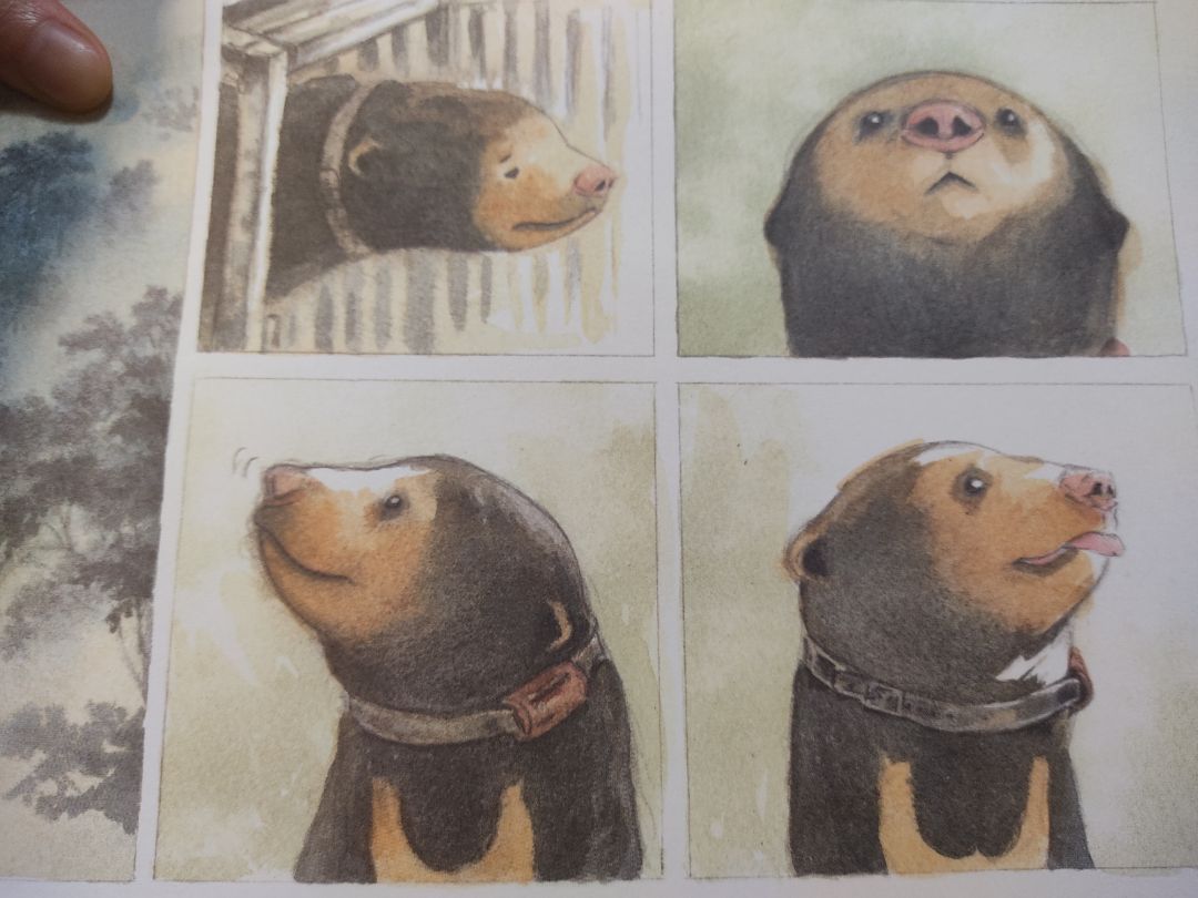 Đây là 1 cuốn sách cảm động, giống như 1 cuốn nhật ký của chị Trang về 1 phần hành trình trở thành nhà bảo tồn động vật hoang dã vậy - ước mơ được chị ấp ủ từ năm 8t. Chị đã vượt qua những định kiến xã hội, nỗ lực hết mình để theo đuổi giấc mơ. 
Không chỉ trẻ em, mà ng lớn cũng học hỏi đc rất nhiều điều từ cuốn sách.
Hoạ sĩ Jeet Dzung đã minh hoạ thật sống động hình ảnh về rừng tự nhiên, các loài động vật hoang dã.
Bên cạnh đó, cuốn sách còn hé lộ thông tin về các loài gấu, tác động tiêu cực khi gấu bị nuôi nhốt lấy mật quá lâu, cách thức gấu *** săn mồi và lợi ích của việc để các loài động vật hoang dã sống đúng theo quy luật của tự nhiên.
Hành trình của chị Chang và bé gấu Sorya thật cảm động. Qua từng trang sách, tôi có thể nhận thấy tình yêu chị dành cho Sorya lớn nhường nào. Vì để cô bé đc sống trong tự nhiên - môi trường tốt nhất cho sự phát triển của động vật hoang dã, chị đã đồng hành cùng Sorya suốt 1 chặng đường dài: cùng ăn, ngủ, nghỉ và hướng dẫn, cổ vũ Sorya tự lập vs cuộc sống trong rừng. Tôi đã khóc khi đọc đến cuộc chia tay của chị vs Sorya. Hành trình dài ấy đã kết thúc khi Sorya nhút nhát bé bỏng ngày nào h đã thành cô gấu dạn dĩ hơn, có đủ các kỹ năng cần thiết để sinh tồn ngoài tự nhiên. Chị Chang đã thành công giúp Sorya hoang dã và tự do.