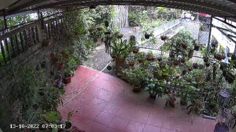 Đây là hình ảnh chụp từ camera C3N ezviz hình có màu vào ban đêm khi bật đèn, còn không bật chế độ xuyên đêm thì để chế độ thông mình, khi có chuyển động của người thì đèn tự bật sáng vào quay video màu luôn