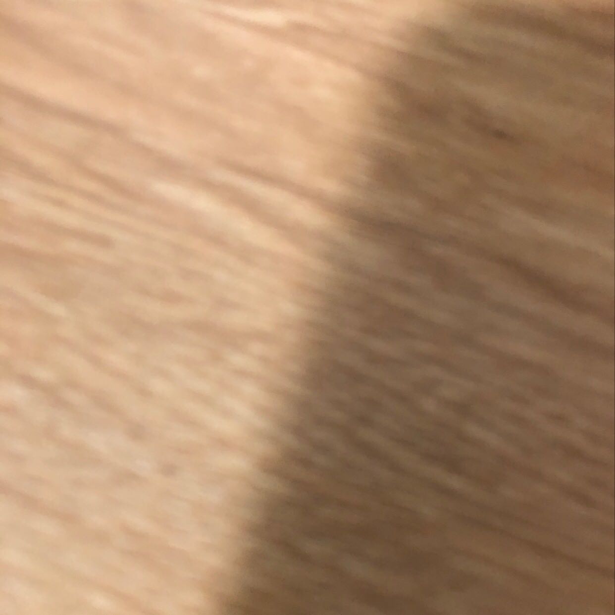 Djdj jjxh jch hc hdh hh hdhh hc hcj hcj hjfj j u