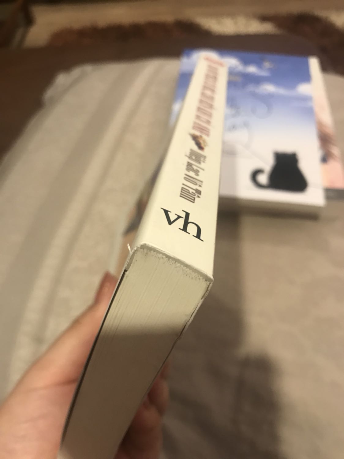 Đây là lần đầu tiên em mua sách trên tiki. Giao hàng nhanh và anh giao hàng thân thiện. Tuy nhiên khi em nhận sách cảm thấy rất thất vọng vì chất lượng sách. Ba quyền đều không có giấy bóng bọc bên ngoài, sách bám bụi, và mép sách bị nát.