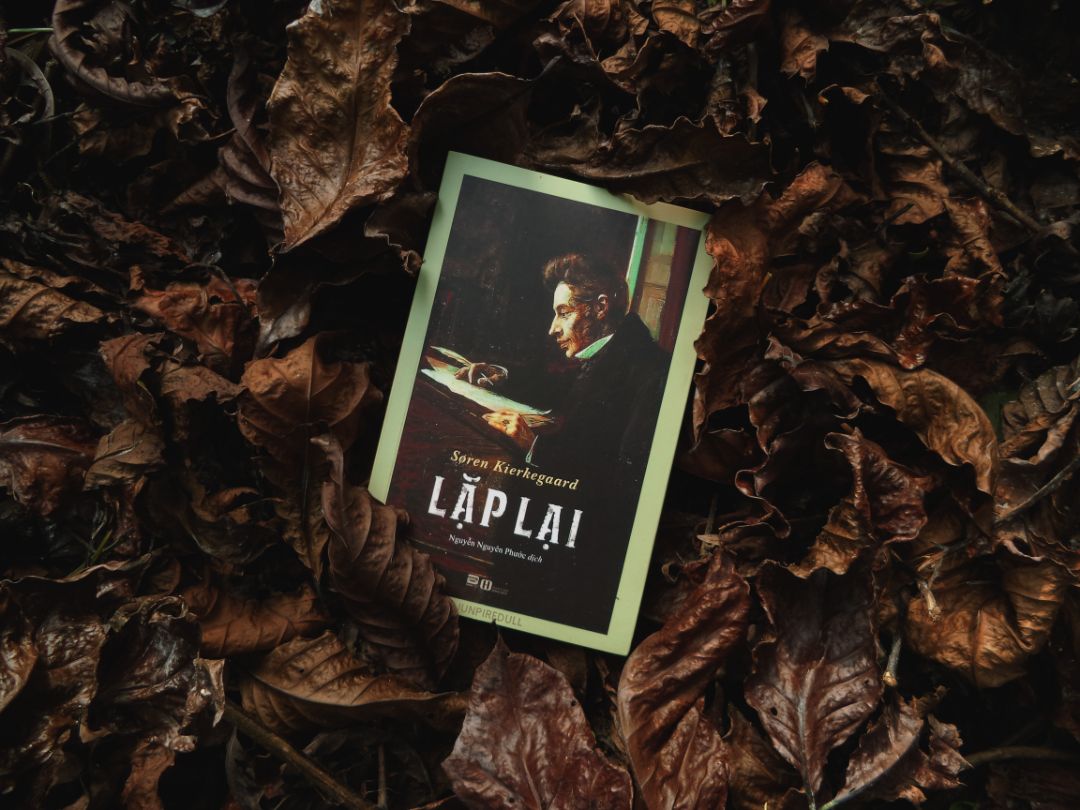 Theo đúng lời dịch giả thì cuốn này dễ đọc nhất trong số những cuốn sách của Kierkegaard. Thể hiện rõ chủ nghĩa hiện sinh qua việc tách bản thân thành hai nửa và để họ đối thoại với nhau. Thật sự thì cuốn này rất hay, cả về khía cạnh triết lẫn văn. Theo đúng lời dịch giả thì cuốn này dễ đọc nhất trong số những cuốn sách của Kierkegaard. Thể hiện rõ chủ nghĩa hiện sinh qua việc tách bản thân thành hai nửa và để họ đối thoại với nhau. Thật sự thì cuốn này rất hay, cả về khía cạnh triết lẫn văn.