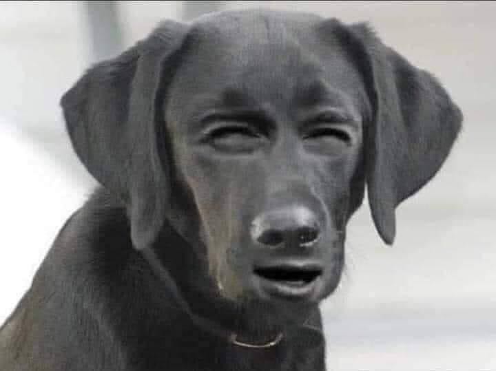 Cuộc sống ko bao giờ là bế tắc thực sự hay có khái niệm mất tất cả một khi bạn còn có niềm tin. Thật dễ nuối tiếc về một điều gì đó đã mất đi nhưng sẽ rất khó nhận ra và trân trọng những gì ta đang có…