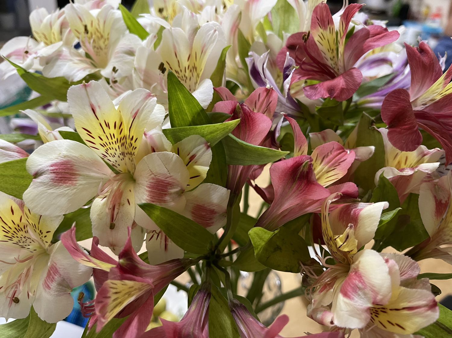 Biết rồi, khổ lắm cứ bắt đánh giá mãi Biết rồi, khổ lắm cứ bắt đánh giá mãi