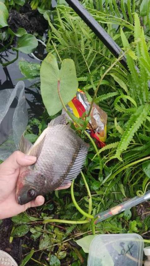 hàng chất lượng tốt phù hợp với giá tiền