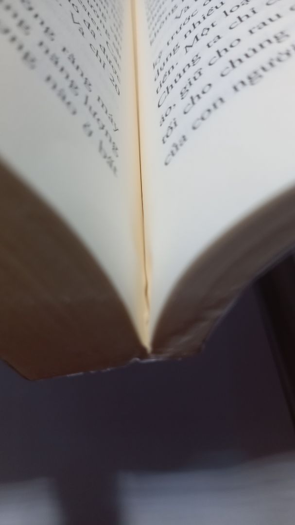 chất lượng sách tệ: bìa rách và xung quanh phần bìa bị rách bị biến dạng, nhăn các trang sách phía trong sách ngay chỗ bìa bị rách