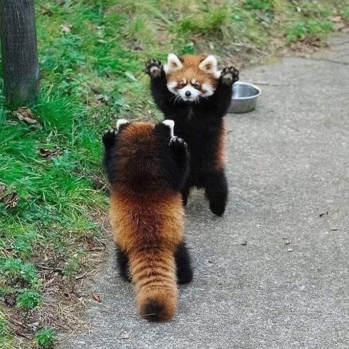 Quá tuyệt vời lun trời ơi bé nhà mình thích lắm