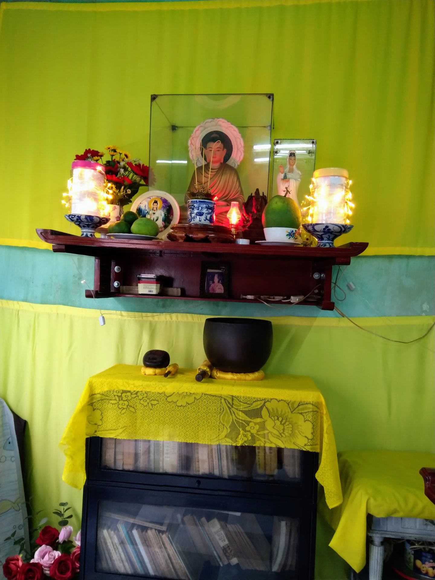 cây đẹp lắm, tươi tắn , rất hài lòng. cám ơn shop , chúc may mắn và phát tài nhiều