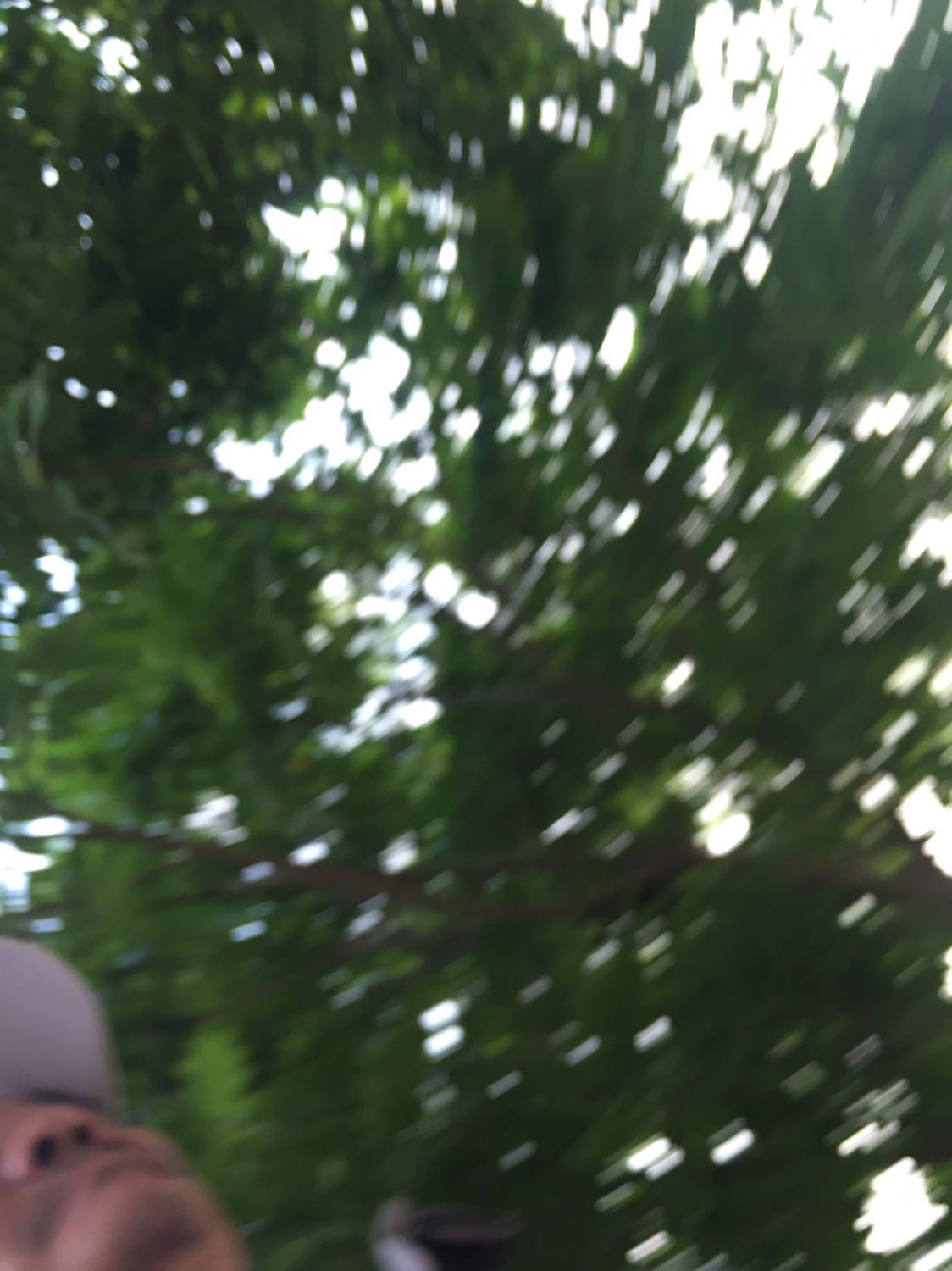 Hàng chuẩn lượng