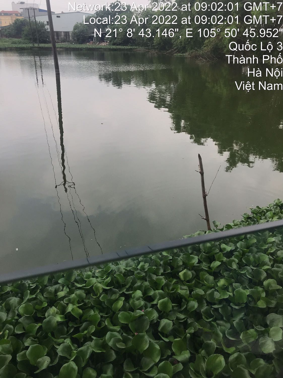 Sp ok phù hợp số tiền