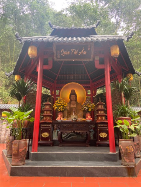 Nấu cơm rất nhanh chín, cơm ăn rất ngon. Xứng đáng để mua nhé. Chờ khuyến mãi sâu sẽ mua thêm nữa. Có dịp sẽ giới thiệu bạn bè mua