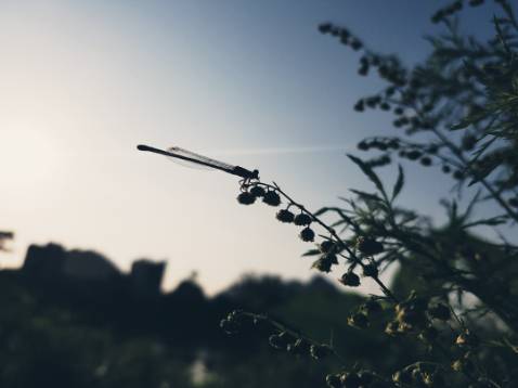 Hàng tốt . Mua lân đầu rát ưng nên mua thêm