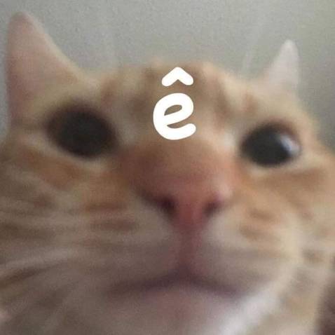 Sách okk lắm mọi người à có điều giao mà chả bao bọc j cả nhìn cuốn sách muốn rớt nước mắt