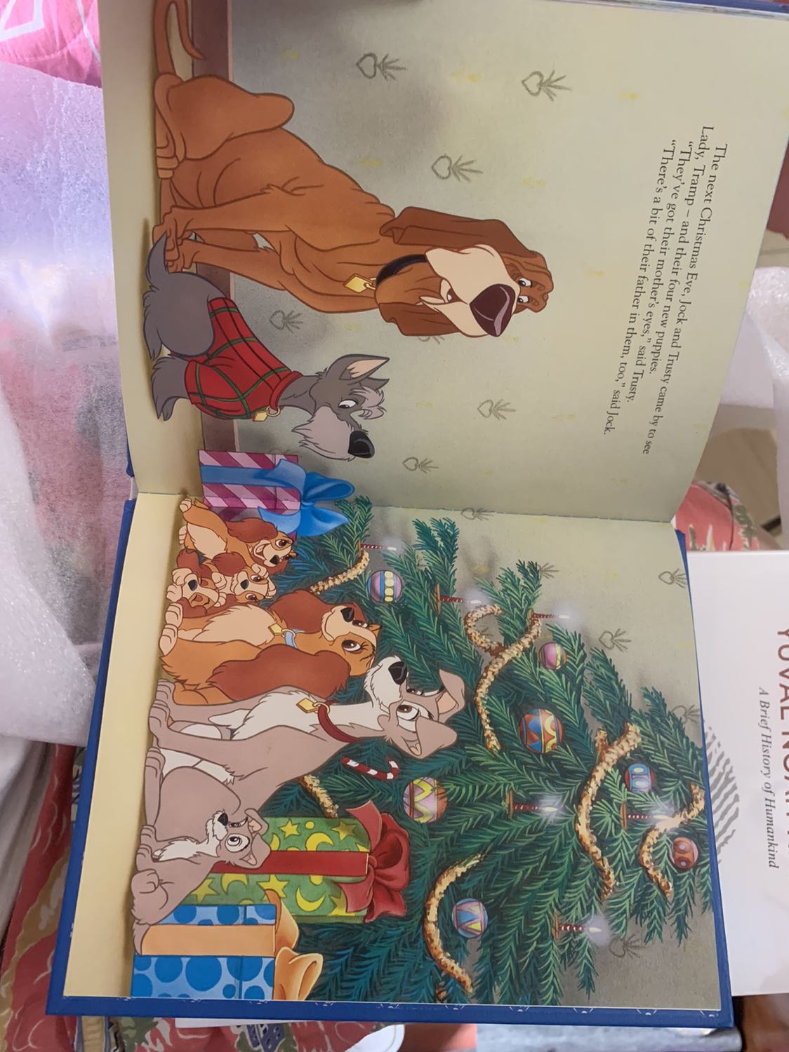 Sách đẹp, hình minh hoạ đẹp nhưng chữ hơi bé