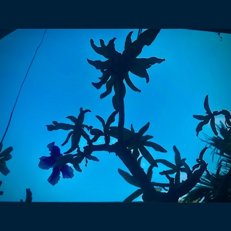 Hương vị rất tuyệt, dùng để rắc khoai tây hoặc những món liên quan đến cheese, cám ơn shop nhiềuu 🥰🥰