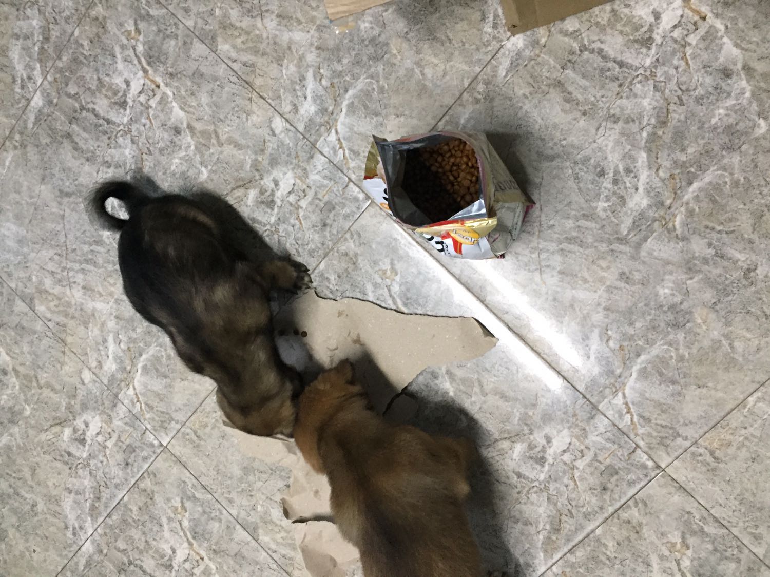 Tuyệt vời *** nhà mình rất thik