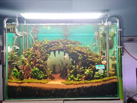 Quá tuyệt vời. Giá hơi chát, nhưng tiền nào của đó. Mọi người nen mua về trải nghiệm thử. Quá đẹp