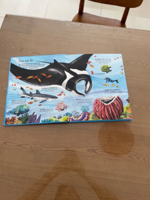 Giao hàng nhanh, đóng gói cẩn thận, sách in đẹp, hình ảnh bắt mắt, sống động. nội dung dịch khá tốt