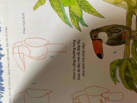 Giao hàng nhanh, có bookcare nhưng bị rách. Sách nhiều hình vẽ dễ thương phù hợp cho trẻ con hơn 🥲🥲