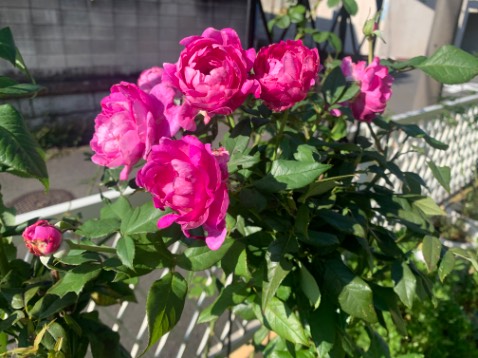 Tiki giao đúng giờ đúng hẹn Chưa đọc nên chưa rì viu được sách nội dung nhưng chắc sẽ hay