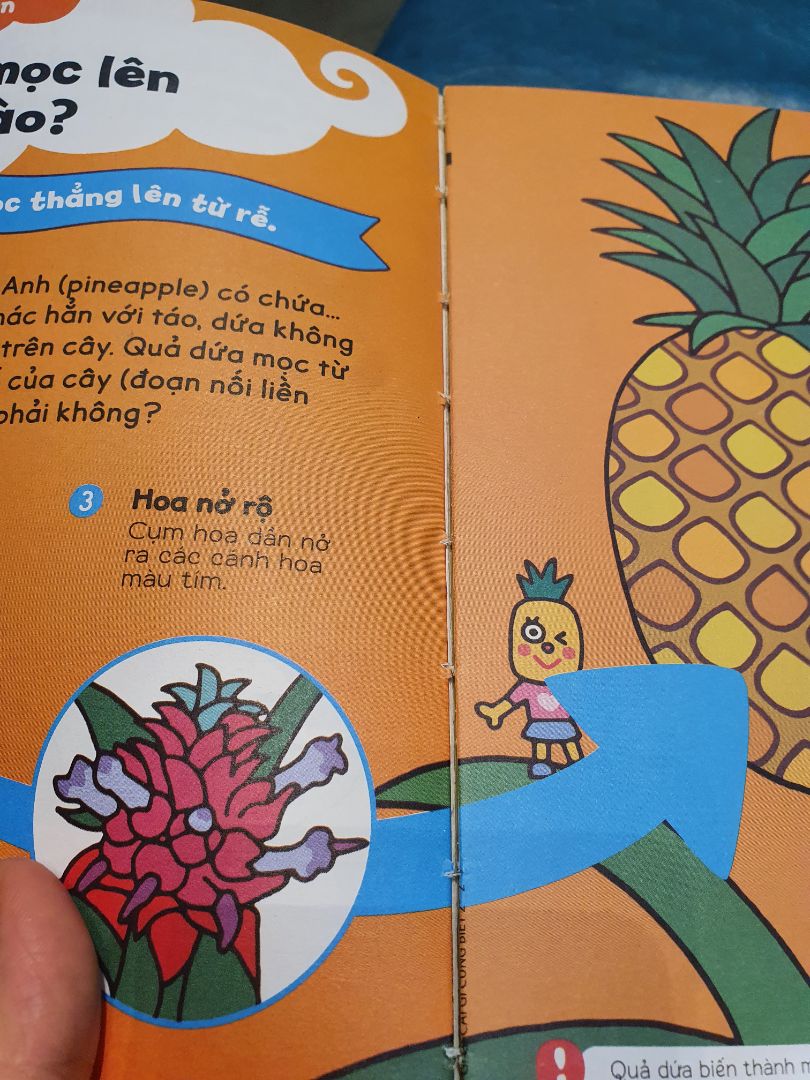 Sách in đẹp nhưng chất lượng đóng sách quá tệ. Sách mới nhận mà rách gáy, keo dán lỏng lẻo, cách tệp ở trong cũng rời rạc. Chắc k đc mấy bữa là toang luôn.