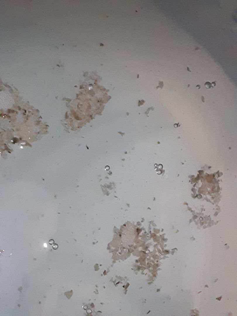 không biết có tẩy sạch được lồng giặt không  ? mà ngâm 2h, cho kq khá là dơ ! trước đây mình đã dùng loại bột tẩy của Hàn Quốc,  viên tẩy của Trung quốc, chưa khi nào  thấy dơ như vậy. Và mua đúng đợt sale 39k, quá ổn.