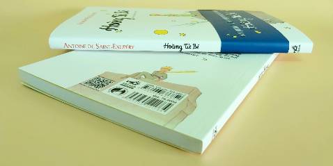 Tôi cứ sống cô độc như vậy, chẳng có một ai để chuyện trò thật sự, cho tới một lần gặp nạn ở sa mạc Sahara cách đây sáu năm. Có thứ gì đó bị vỡ trong động cơ máy bay. Và vì bên cạnh chẳng có thợ máy cũng như hành khách nào nên một mình tôi sẽ phải cố sửa cho bằng được vụ hỏng hóc nạn giải này. Với tôi đó thật là một việc sống còn. Tôi chỉ có vừa đủ nước để uống trong tám ngày.

Thế là đêm đầu tiên tôi ngủ trên cát, cách mọi chốn có người ở cả nghìn dặm xa. Tôi cô đơn hơn cả một kẻ đắm tàu sống sót trên bè giữa đại dương. Thế nên các bạn cứ tưởng tượng tôi đã ngạc nhiên làm sao, khi ánh ngày vừa rạng, thì một giọng nói nhỏ nhẹ lạ lùng đã đánh thức tôi. Giọng ấy nói:

“Ông làm ơn... vẽ cho tôi một con cừu!"