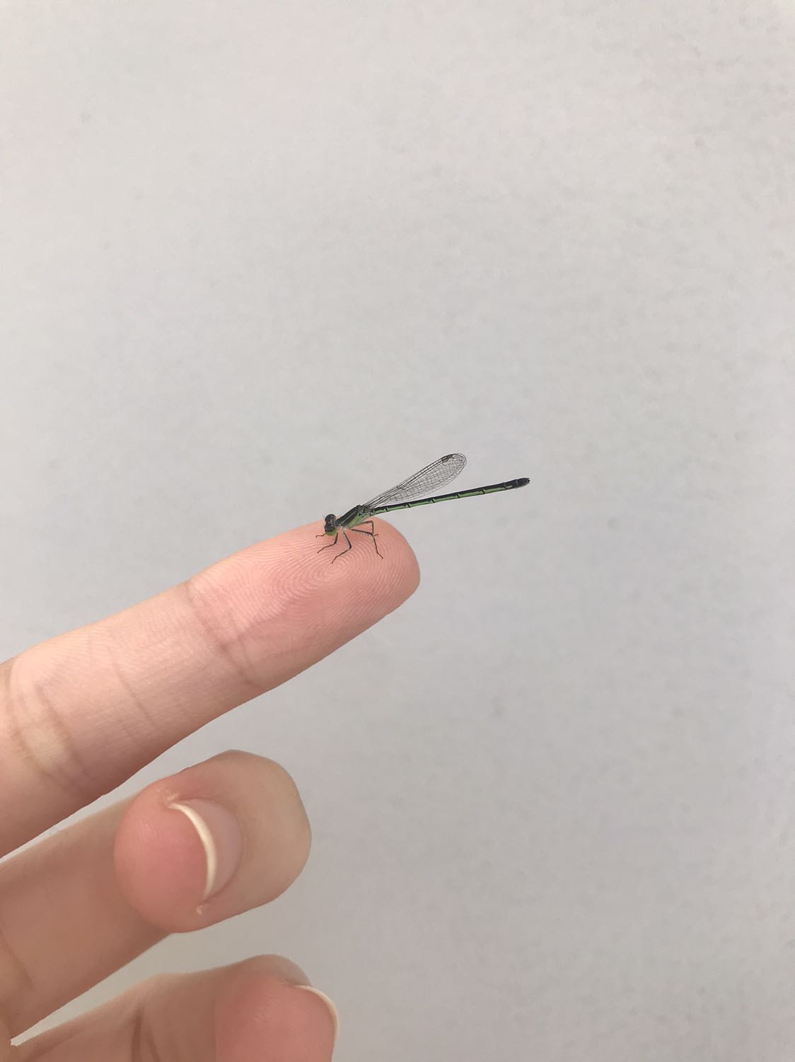 sản phẩm giống mô tả. nấu canh ăn rất ngon. tiki giao hàng hơi chậm, chắc do ảnh hưởng covid