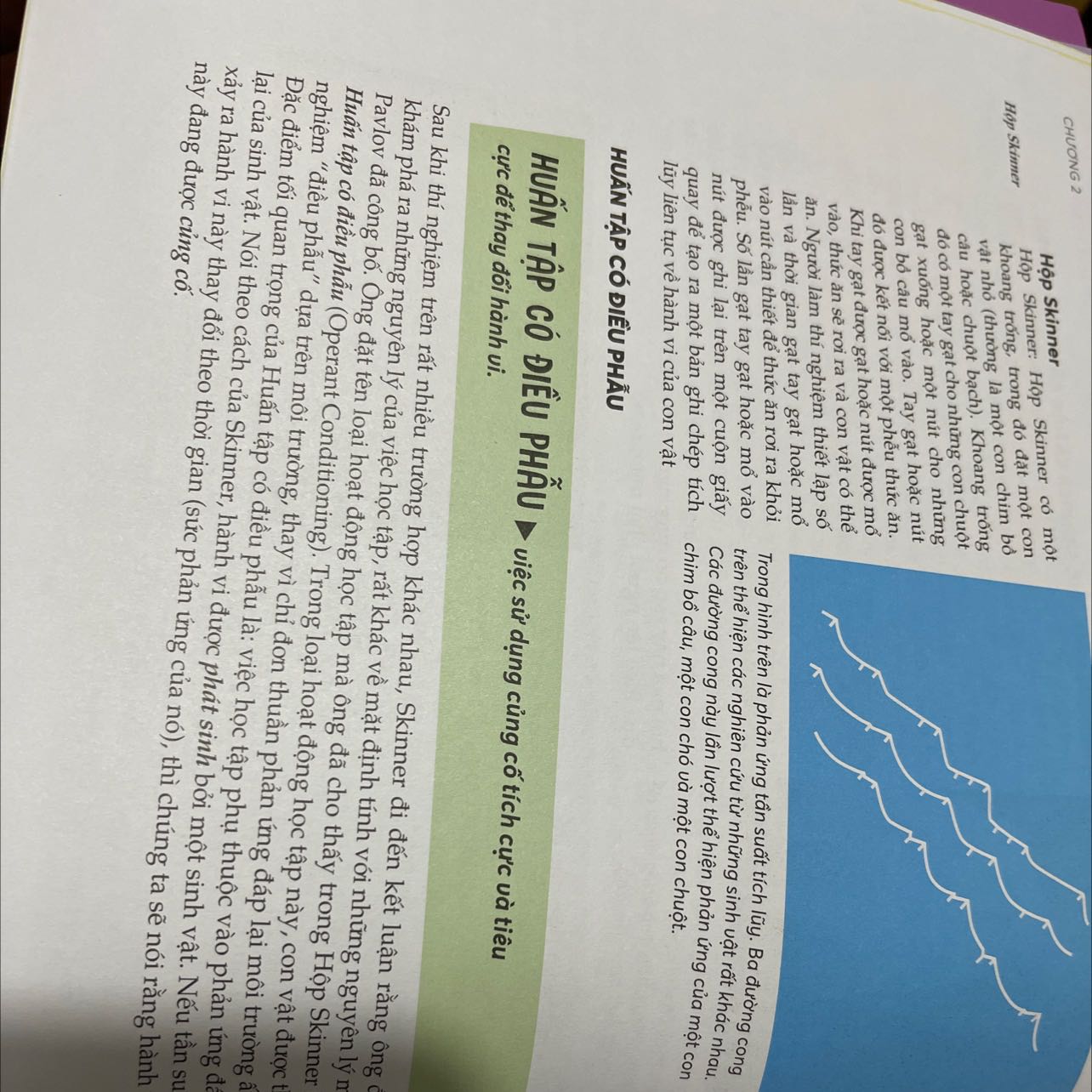 Nó khó hiểu lắm 
Đây chụp cho mọi người xem vài trang 
Mình thấy nó viết linh tinh cái gì gì ấy :??? khác với các cuốn sách tâm lý học mình từng đọc 
Chắc do mình chưa đạt đến trình độ để hiểu chăng ??
Mình cứ nghĩ nó dễ hiểu và dành cho người bình thường đọc cơ 
Cuốn này nó viết cái gì gì ấy lạ lắm =)) 
Mình đã mua vì ảnh bìa cuốn sách đẹp và có vẻ là nhiều kiến thức dễ hiểu nhưng không 
Mọi người xem và cân nhắc nhé mình chả hiểu cái gì khi đọc nó. Chả hiểu nó viết gì =))