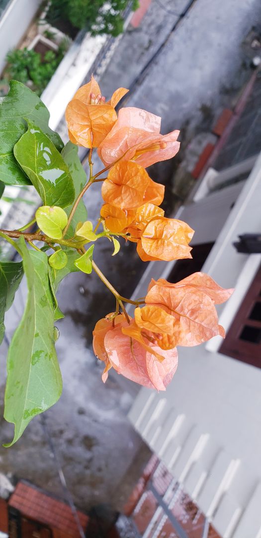 hàng đẹp, đóng gói sản phẩm ok