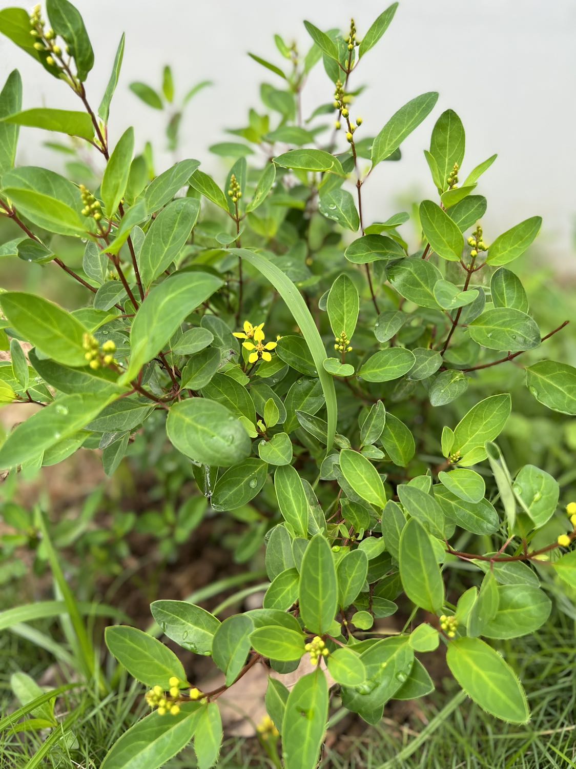 Hàng rất ok. Đóng gói cẩn thận.