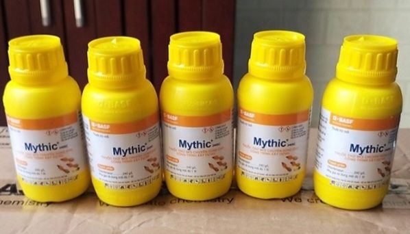 Tới thời điểm này đã hơn 1 tháng chưa thấy con mối nào quay lại...hàng tốt như mong đợi.