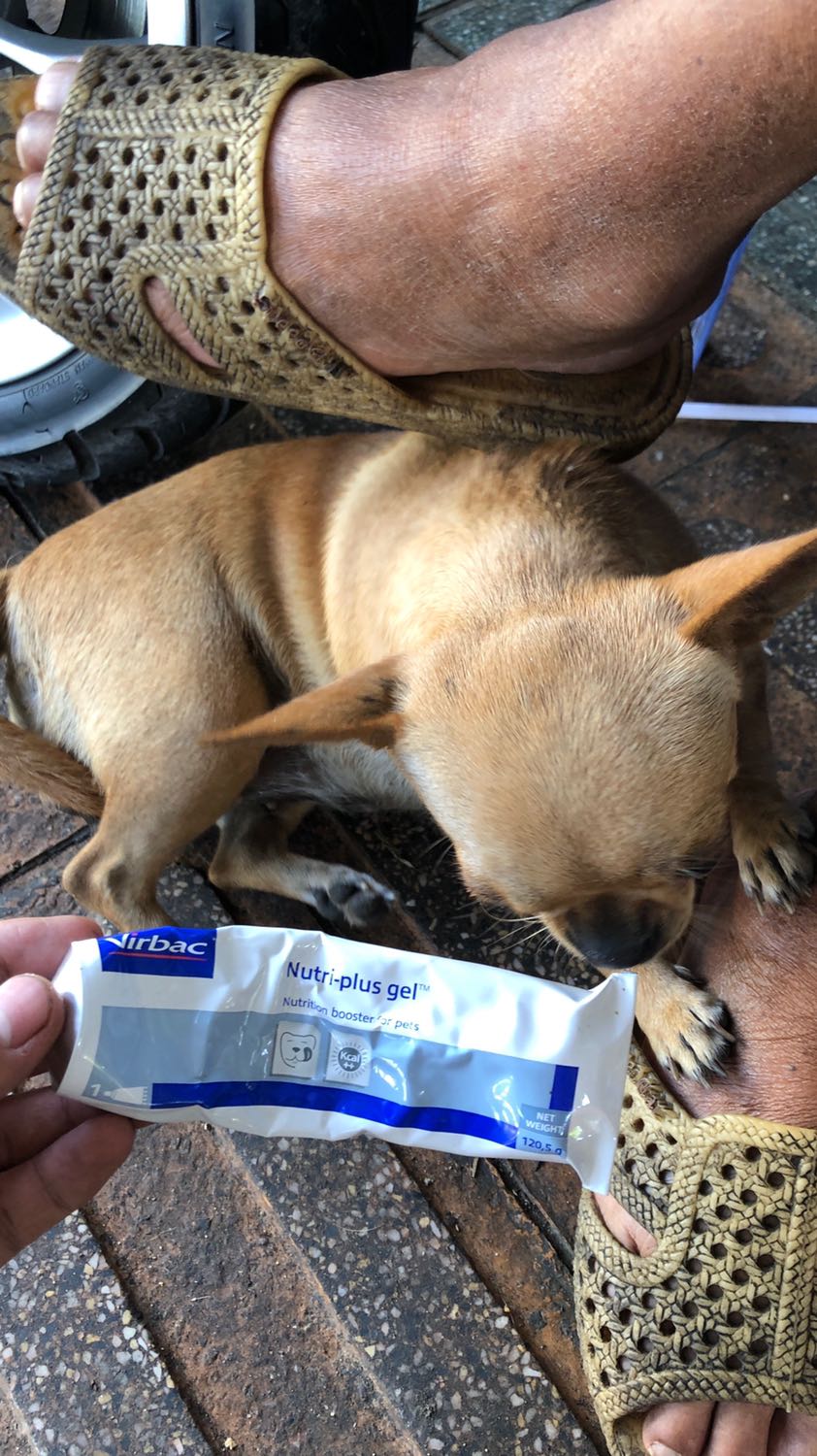 Cách giao hàng và làm việc của Tiki từ lúc nhận đơn hàng , cách đóng gói cho đến vận chuyển đều rất tuyệt vời ! Về sản phẩm thì quá OK , các em đều mê , ăn thấy khỏe ! Con nhỏ nhất nay cũng ú ì . Xứng đáng