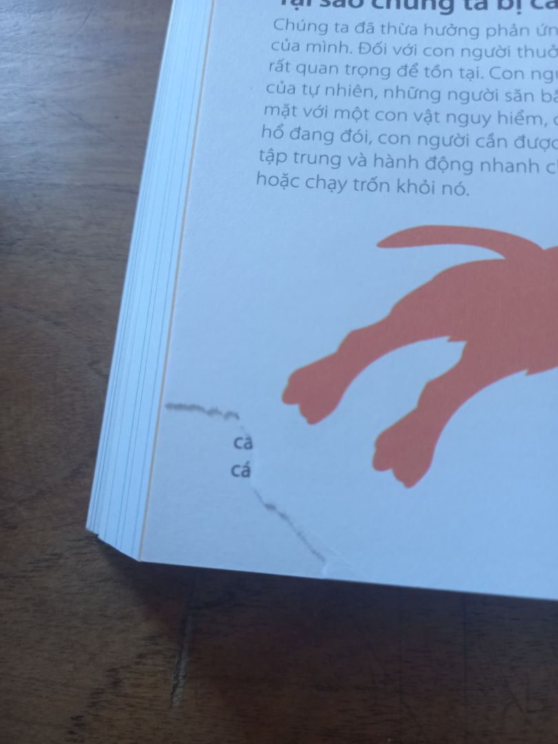 Mk ko bt ib như nào nhưng bên mk giao sách rách cho mình. Mk cần đổi trả sp hoặc trả lại sp