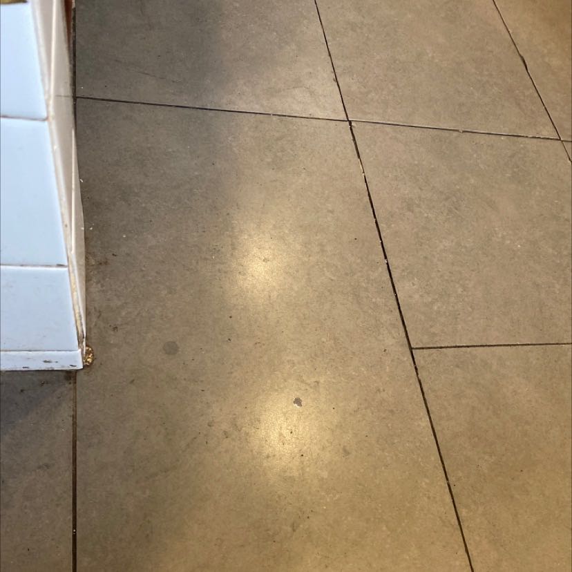 Không giống hình mô tả bên trên