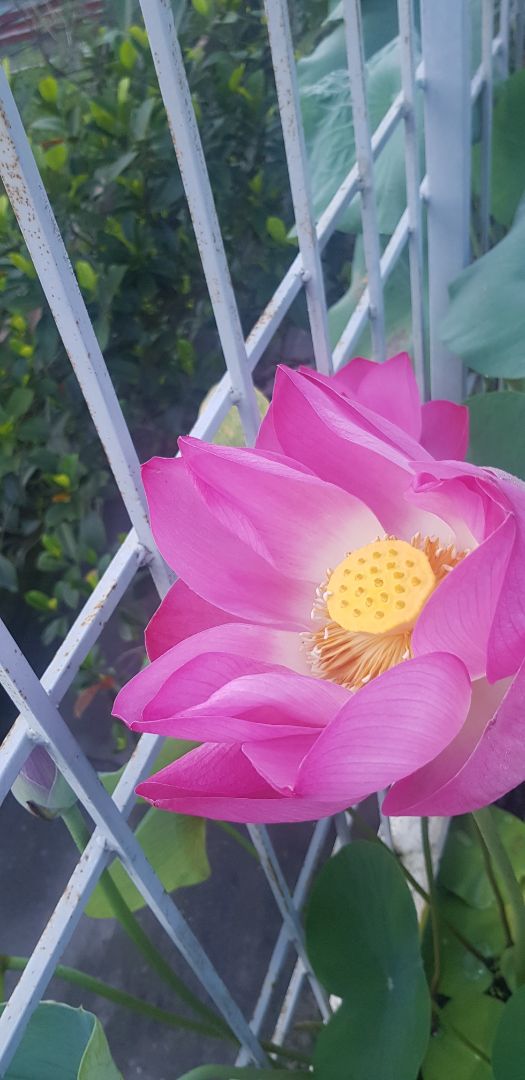 sp ok.khá hài lòng