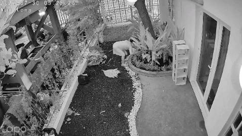 😎Hàng đóng gói rất đẹp. Quả nhiên người bán đã gửi gắm rất nhiều tâm tư và tình cảm trong lúc gói hàng. Hộp không có dấu hiệu bị móp, chứng tỏ bộ phận vận chuyển đã nâng như nâng trứng, hứng như hứng hoa. Xin nghiêng mình cảm ơn vì tất cả.