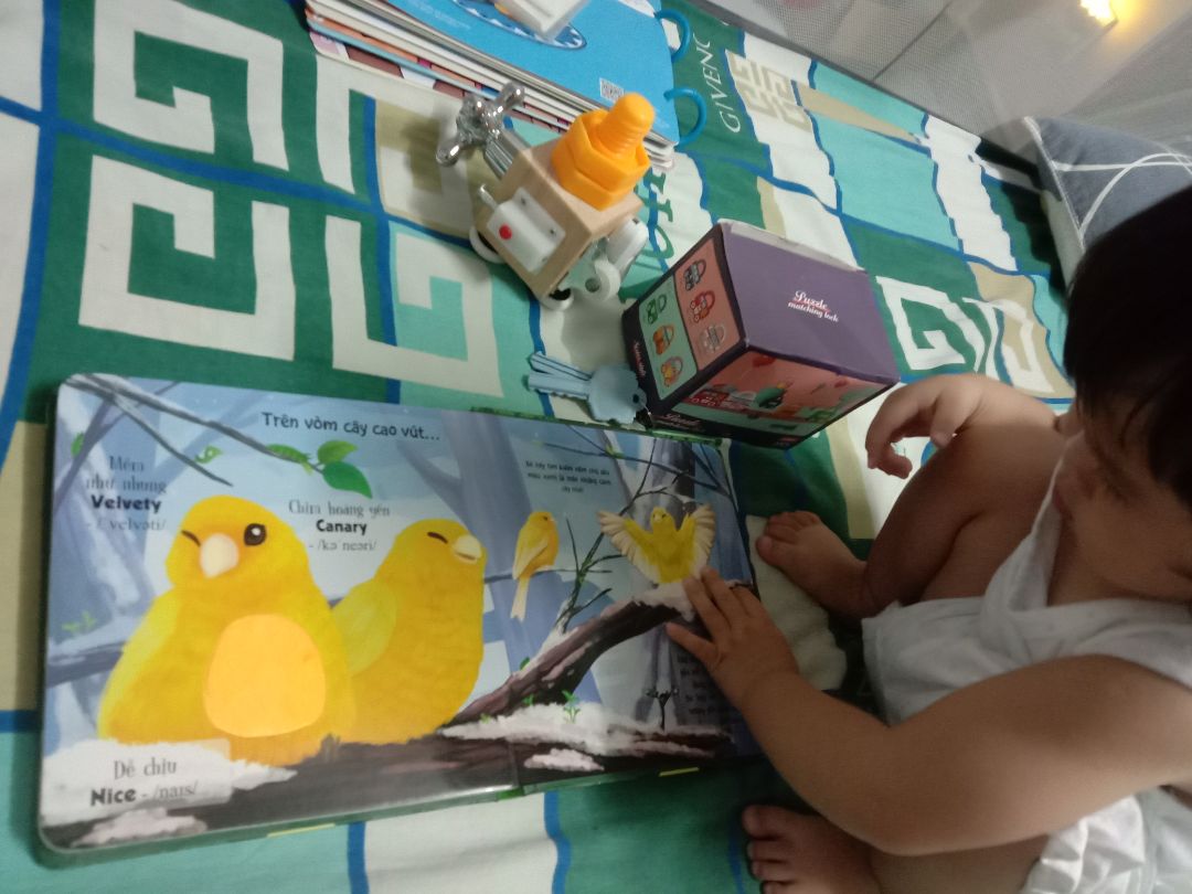 sách hay, mà tưởng lông thiệt ai ngờ lông giả