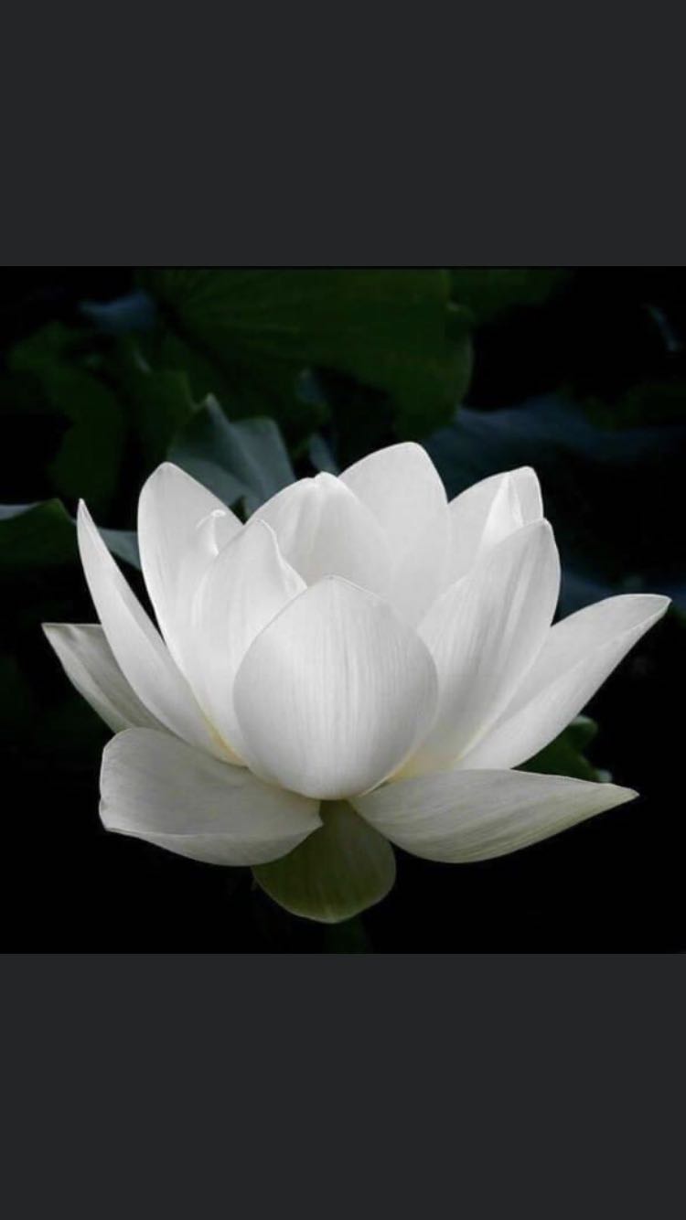 Giao hàng đúng mẫu!
- Tốt.