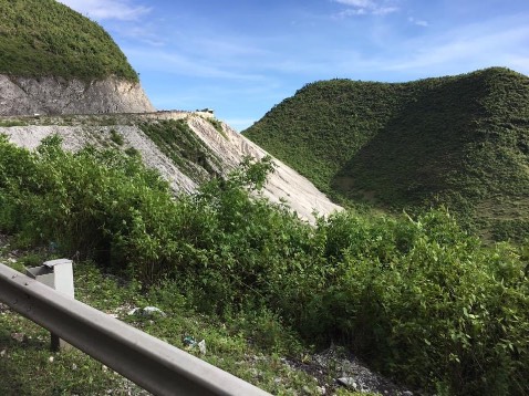 Gaio hàng nhanh, sp tốt