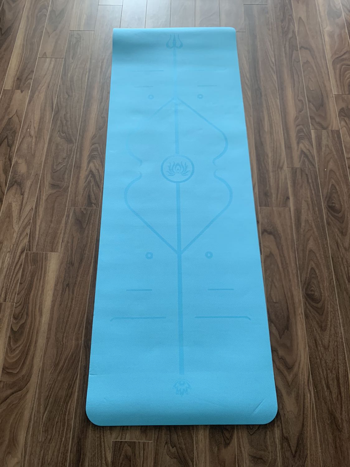 Thảm đẹp tuy giao màu ngẫu nhiên nhưng đc màu m ưng,ko trơn trượt,giao hàng rất nhanh,kèm theo túi lưới dây buộc thẻ bảo hành với thư cảm ơn nữa