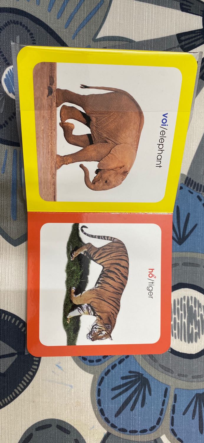 Sách được bọc cẩn thận, đẹp