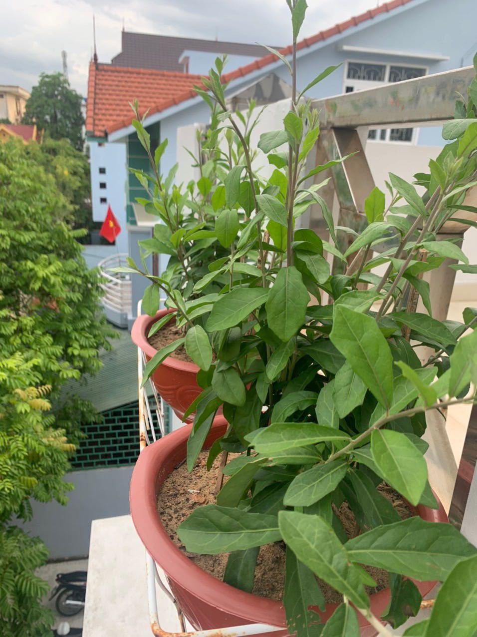 Đã nhận hàng rất, lên rất đẹp. Cảm ơn shop