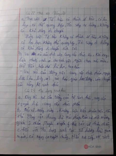 Tốt có HN nkfgn BV xD rồi đi buoond đ VN nk