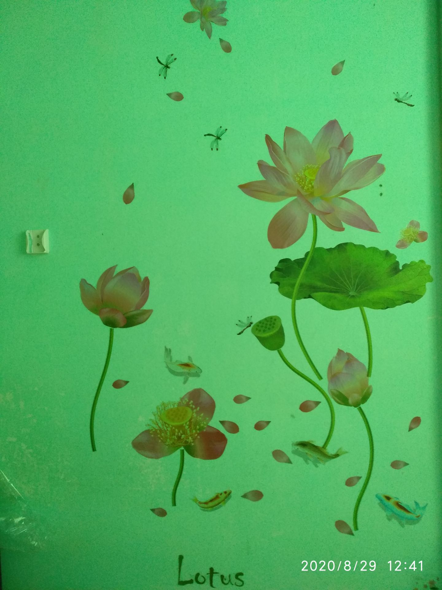 ưng ý
phù hợp với giá tiền, hình ảnh sắc nét, dễ dán, dễ phối hợp có điều mọi người nên chọn nền sáng chút chứ decal không đủ độ để đè màu nền xanh của mình nên mình chỉnh ảnh chút.
nói chung là mua đáng tiền