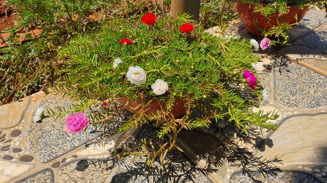 pin khá tốt. nhận hàng cảm thấy rất nặng.giao hàng khá nhanh. cảm thấy tốt trong tầm giá pin khá tốt. nhận hàng cảm thấy rất nặng.giao hàng khá nhanh. cảm thấy tốt trong tầm giá