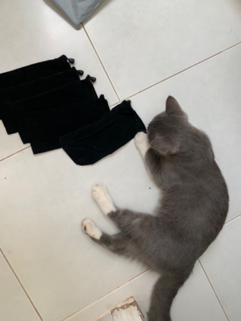 Sản phẩm đúng mô tả, hoạt động tốt.