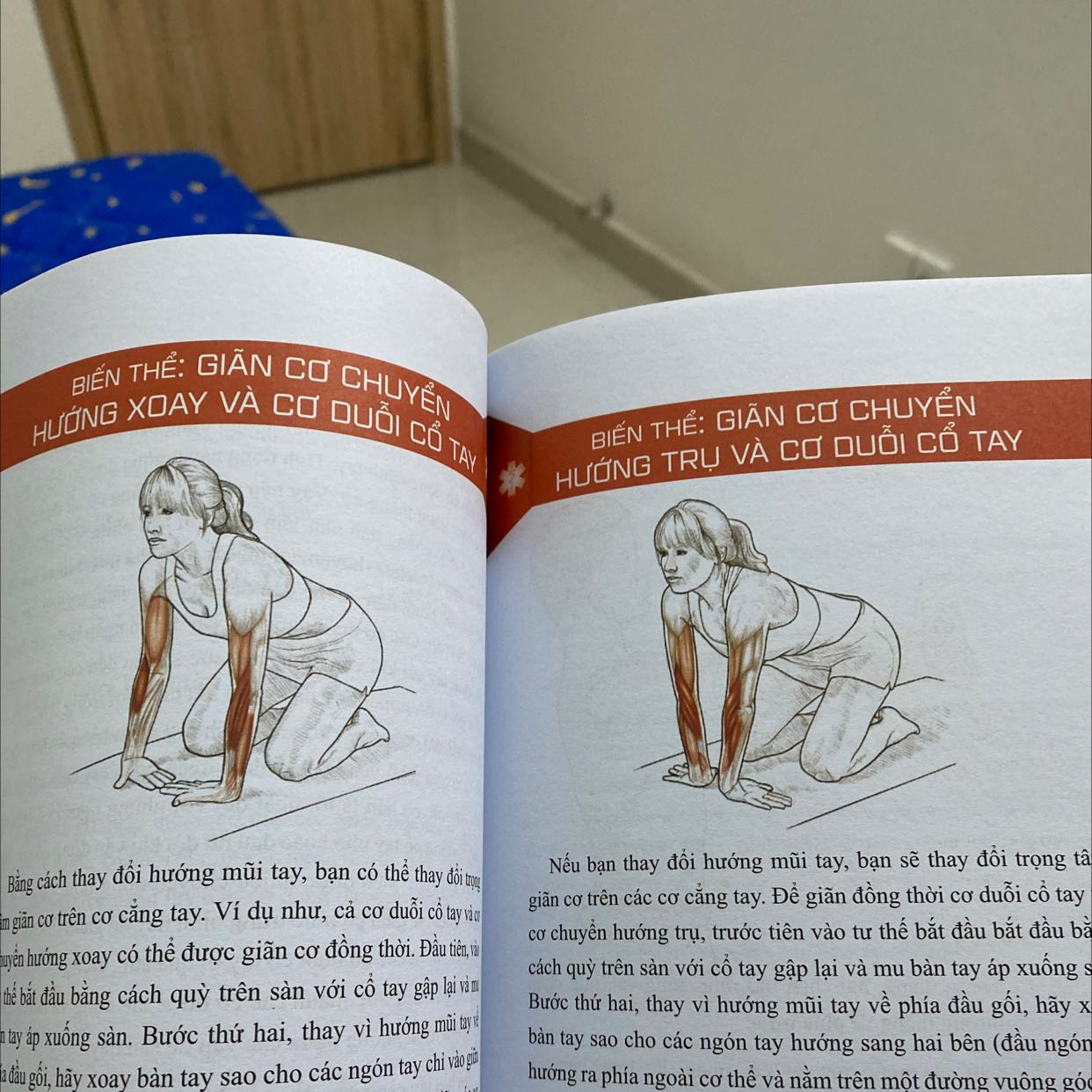 Sách nói khá kĩ về cách cơ bắp hoạt động ở phần đầu nhưng mình đọc xong không nhớ gì, chủ yếu để mở ra xem liền những bài tập giãn cơ khi bị căng cơ, cũng khá căn bản. Sách có hình minh hoạ có màu để thể hiện phần cơ bắp được giãn giống như các tài liệu trong tập gym.