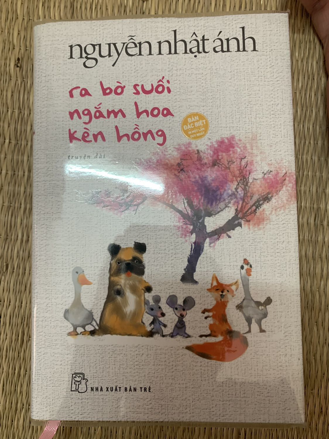 Tiki giao hàng khá nhanh, tuy nhiên
Nhân viên vận chuyển giao sách bị ướt, nhoè màu