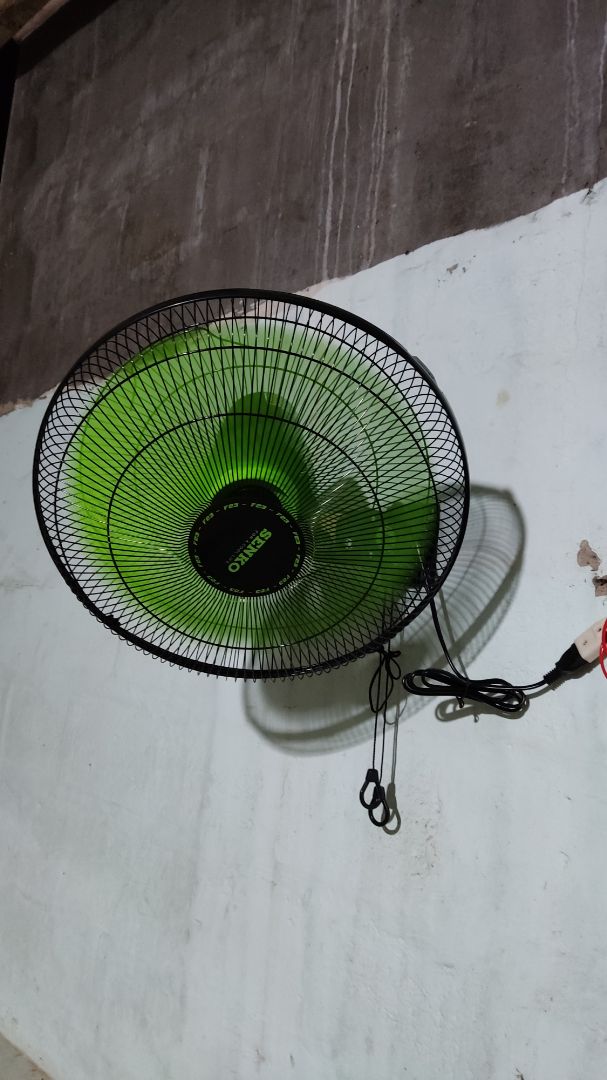 Chất lượng quạt tốt, đúng với bài đăng, shop chăm sóc nhiệt tình dể thương. Chất lượng quạt tốt, đúng với bài đăng, shop chăm sóc nhiệt tình dể thương.